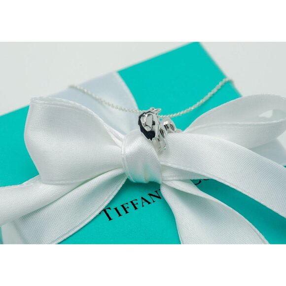 Tiffany & Co. Lion Necklace Save the Wild Lion Charm Pendant in Silver 16" Chain - Picture 5 of 8